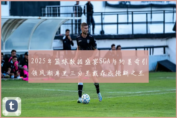 2025年篮球数据盛宴SGA与约基奇引领风潮库里三分王戴森成抢断之王