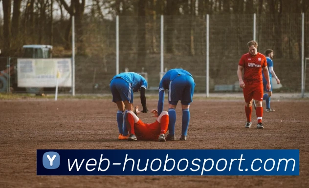 火博体育APP 封面图